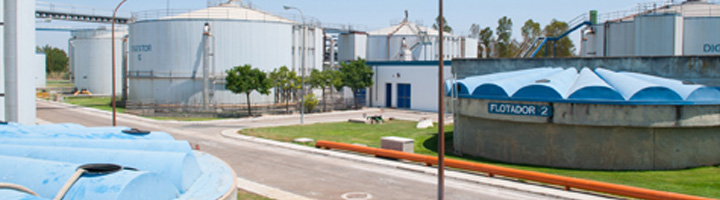 Investigadores de la UCA estudian optimizar la producción conjunta de biogás con residuos de aceituna y lodos de EDAR