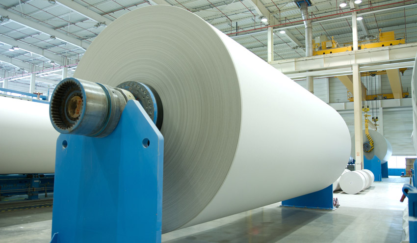 La industria papelera europea impulsará su transición a una bioeconomía baja en carbono