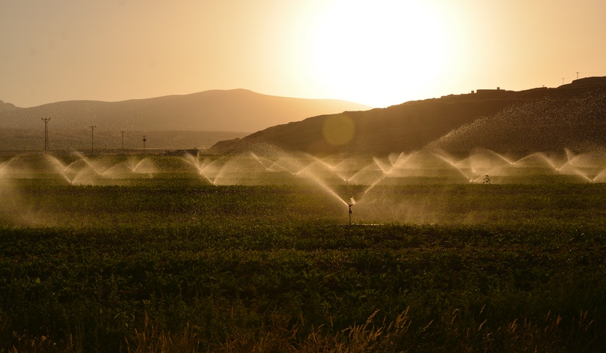 Las políticas europeas no garantizan el uso sostenible del agua en la agricultura