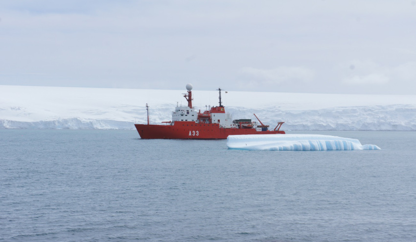 Analizan el impacto de los contaminantes de origen humano en la Antártida