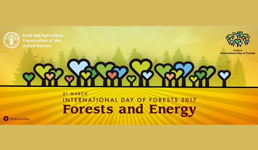 FAO dedica el Día Internacional de los Bosques a su uso energético