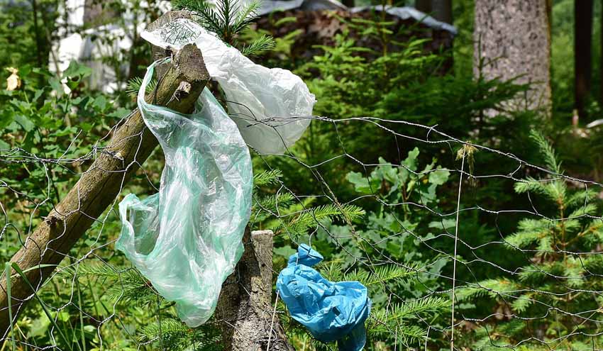 Basuraleza, un término para definir el problema ambiental del abandono de residuos en la naturaleza