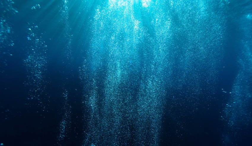 Establecen una ratio entre plástico y plancton para establecer políticas medioambientales en los océanos