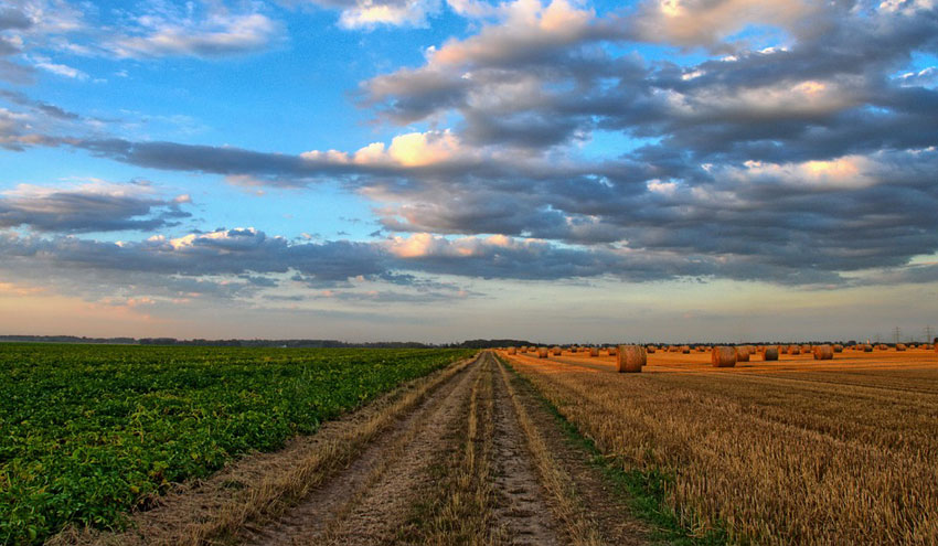 La adaptación al cambio climático es clave para el futuro de la agricultura en Europa