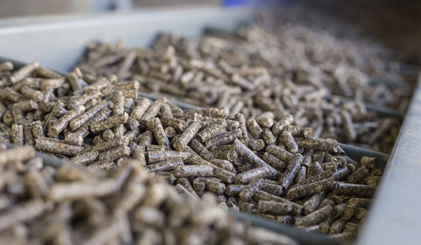 El sector residencial consume el 65% de los pellets que se fabrican en España