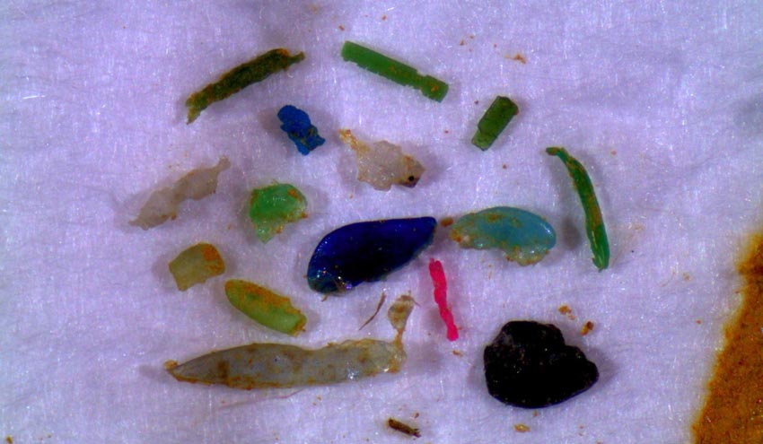 Los microplásticos de lodos de aguas residuales llegan a los suelos agrícolas