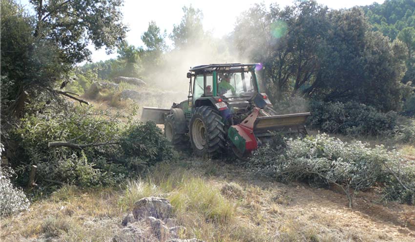 Más de 50 entidades promoverán el uso de la biomasa en el Bajo Aragón y Matarraña