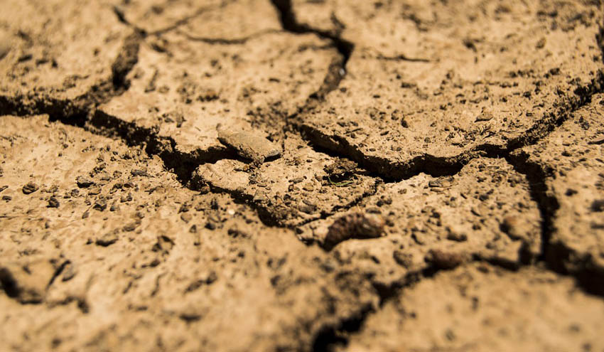 La mala gestión del agua y el cambio climático agravan la sequía, según Greenpeace