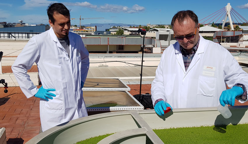 Arranca la primera planta semiindustrial para recuperar nutrientes de purines con cultivos de lenteja de agua