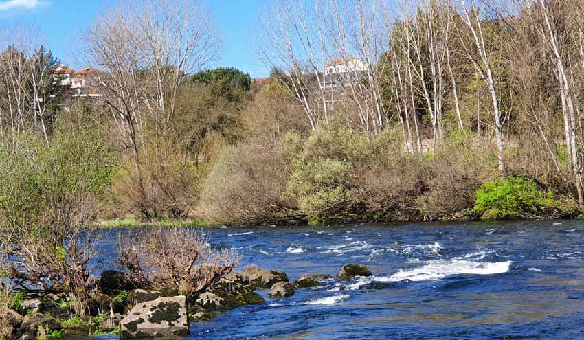La Confederación del Miño-Sil licita por 2,7 millones las obras de mejora del saneamiento de Velle (Ourense)