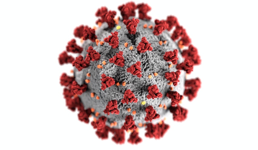 Publicado un estudio internacional sobre el coronavirus en aguas residuales liderado por el ICRA