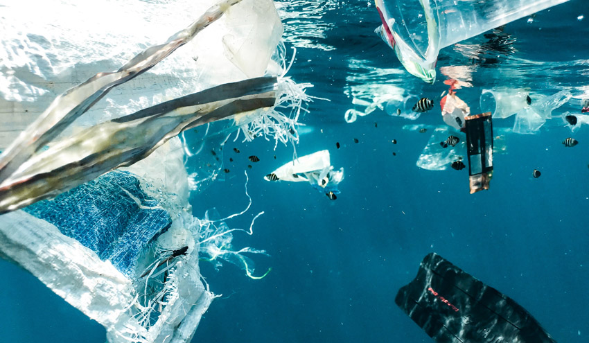 La presencia de plásticos en el mar podría contribuir a la introducción de especies invasoras