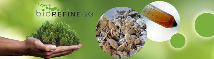 Proyecto BIOREFINE 2G, obtención de bioplástico a partir de los residuos forestales utilizados en las biorefinerías
