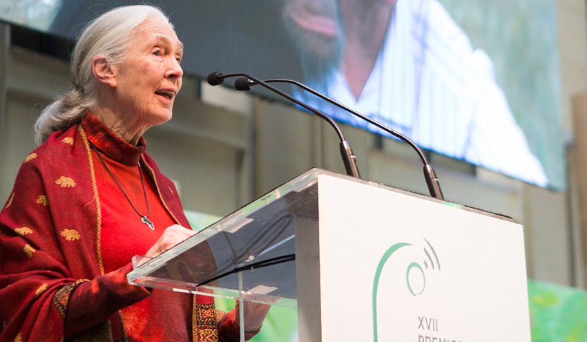 Ecovidrio distingue a Jane Goodall como 'Personalidad Ambiental del Año 2016' en la XVII de sus Premios Periodísticos