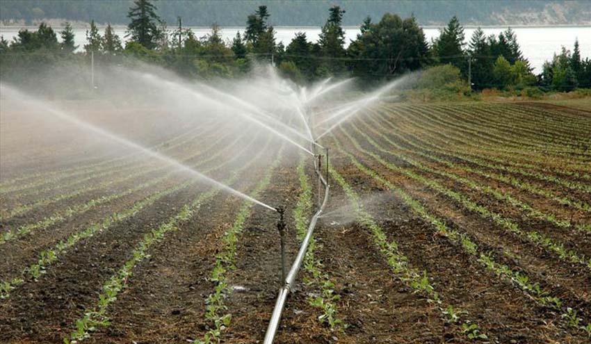 La Superficie De Regadio Aumenta Un 8 7 En Espana Los Ultimos Quince Anos Actualidad Retema