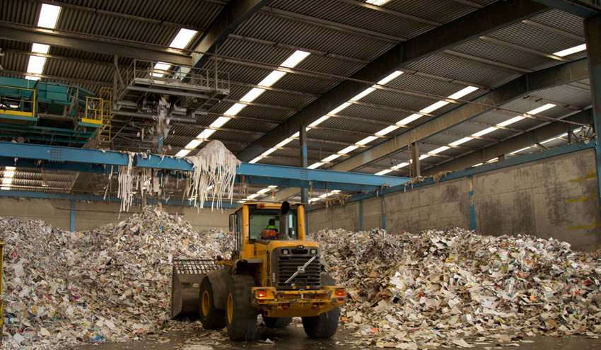 Certificación forestal, descarbonización y aumento del reciclaje, apuestas de la industria papelera