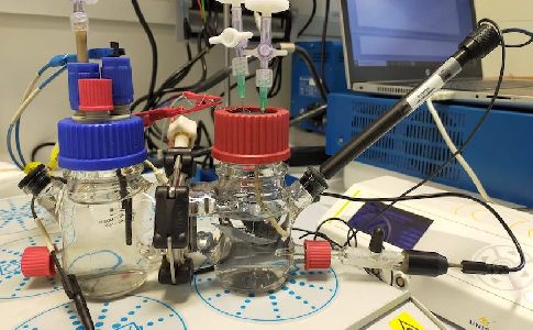 Una tesis doctoral de la Universidad de Girona arroja luz sobre el papel del hidrógeno en la electrosíntesis microbiana