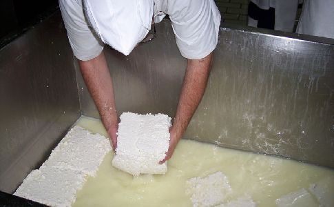 Investigadores logran producir biocombustible con suero de queso