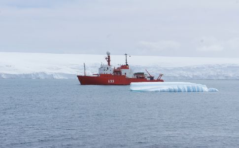 Analizan el impacto de los contaminantes de origen humano en la Antártida