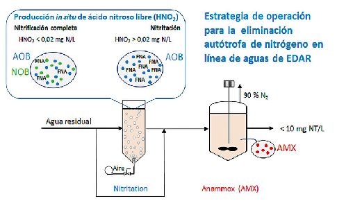 Una tesis de la USC demuestra la viabilidad de la eliminación autótrofa de nitrógeno basada en el proceso anammox en aguas residuales urbanas