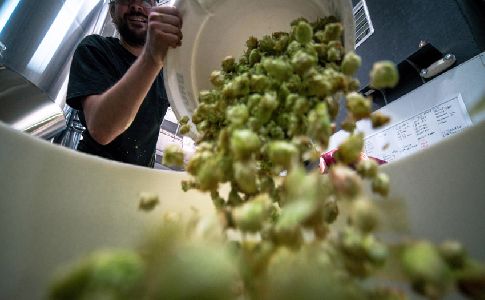 Las plantas de residuos de la Comunitat Valenciana se apuntan a las energ&iacute;as renovables