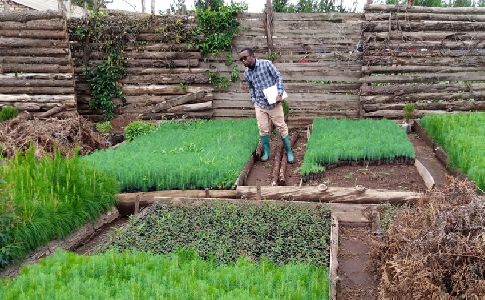 Incatema renueva su colaboración con Agrónomos sin Fronteras para apoyar la mejora de la agricultura en Tanzania