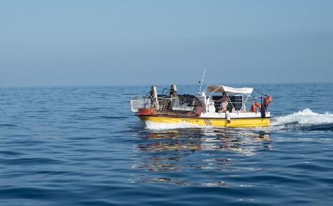 El Servicio de limpieza del litoral balear recoge casi 20 toneladas de residuos
