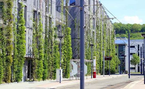 Torres de vegetación para limpiar el aire de las ciudades