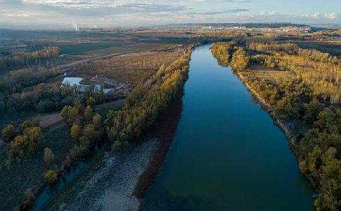 El Proyecto LIFE Ebro Resilience pasa a la fase decisiva de la convocatoria LIFE 2020