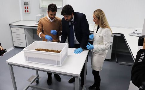 Murcia cuenta con un Centro de Investigación pionero en el uso de insectos como bioconversores de residuos
