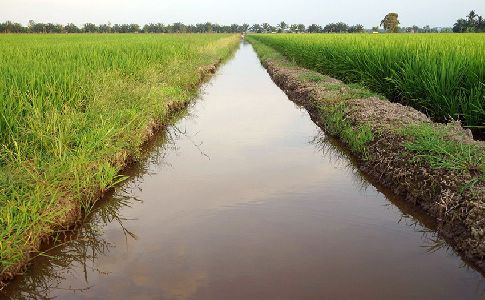 El Parlamento Europeo aprueba el nuevo Reglamento sobre reutilización del agua para agricultura