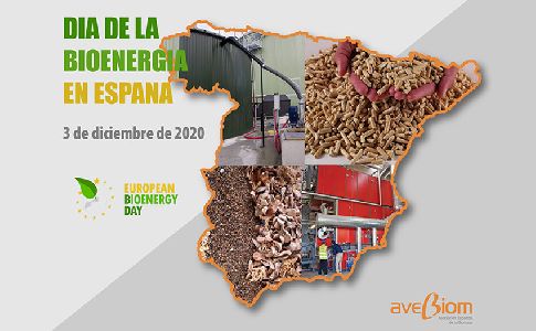 Día de la Bioenergía en España: casi un mes de autosuficiencia energética gracias a la biomasa