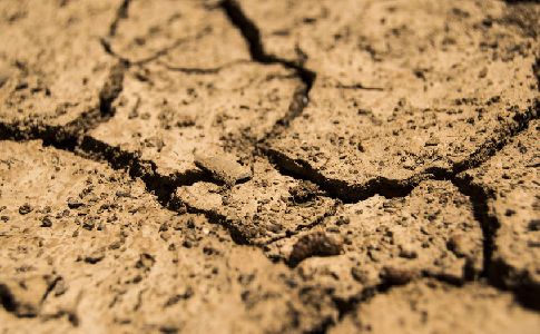 El Gobierno andaluz sopesa la implantación de medidas excepcionales frente a la sequía