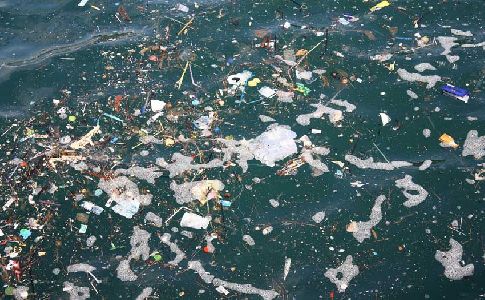 Sevilla se convierte en la capital de la lucha contra las basuras marinas