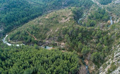 El Río Palancia vuelve a llevar agua después de cinco décadas gracias a los trabajos de recuperación fluvial