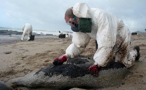 Ecocidio: justicia para las v&iacute;ctimas del crimen ambiental