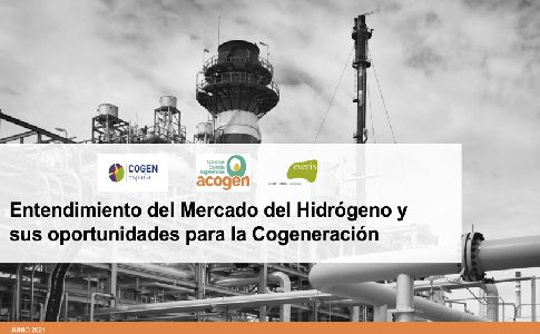 Presentado el estudio "Entendimiento del mercado del hidrógeno y oportunidades para la cogeneración"