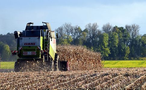 Nuevos pasos para un mayor uso de la biomasa en Europa