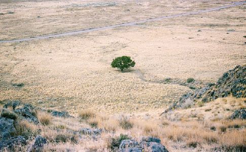 Sale a información pública el proyecto de Estrategia Nacional de Lucha contra la Desertificación