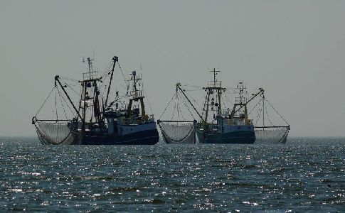 RED-USE el nuevo sistema de gestión responsable de artes de pesca