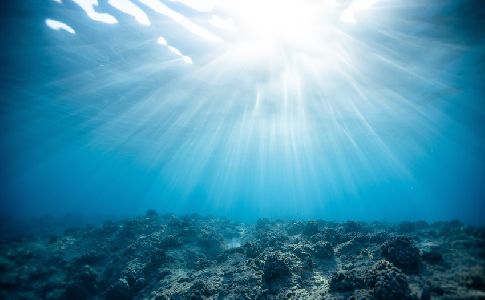 Un estudio pone de relieve el impacto positivo del confinamiento en las aguas del Mediterráneo