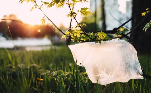 El consumo de bolsas de plástico de un solo uso baja cerca de un 70% en Cataluña