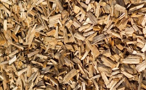 El aprovechamiento energético de la biomasa forestal contribuye a la prevención de incendios