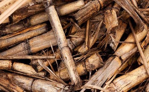 La Xunta señala que el uso energético de la biomasa residual mejora la competitividad empresarial
