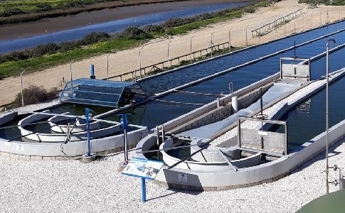 Aqualia y CADASA investigan la viabilidad de la depuración a través de microalgas en Asturias