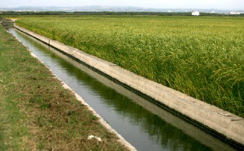 Nuevas ayudas para la optimización del uso de los recursos hídricos para riego en la Comunidad Valenciana