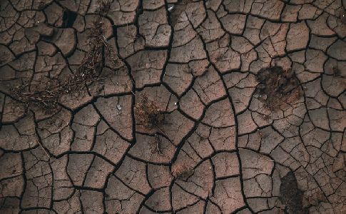 ¿Puede la desertificación ser revertida?