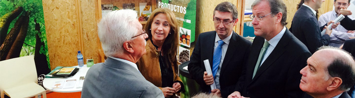 PEFC España y AVEBIOM se alían para impulsar el consumo de biocombustibles procedentes de una gestión forestal sostenible